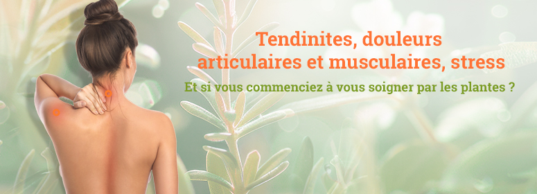 Newsletter KINSOINS : Zoom sur les tendinites et tendinopathies
